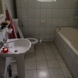 Obor, Colentina, Teiul Doamnei